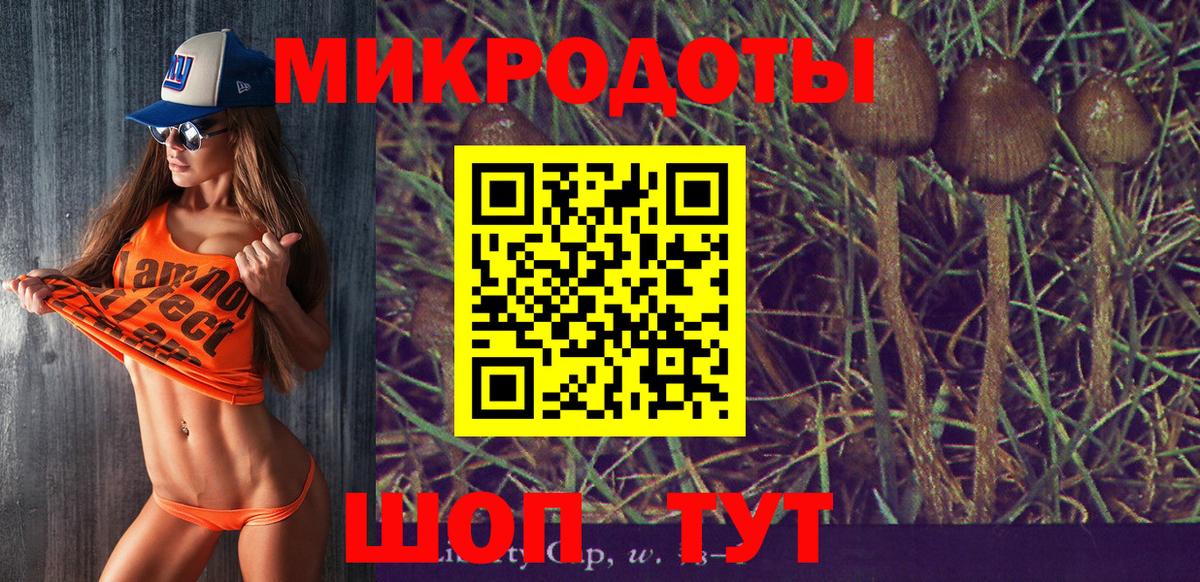 Псилоцибиновые грибы Psilocybe Урай
